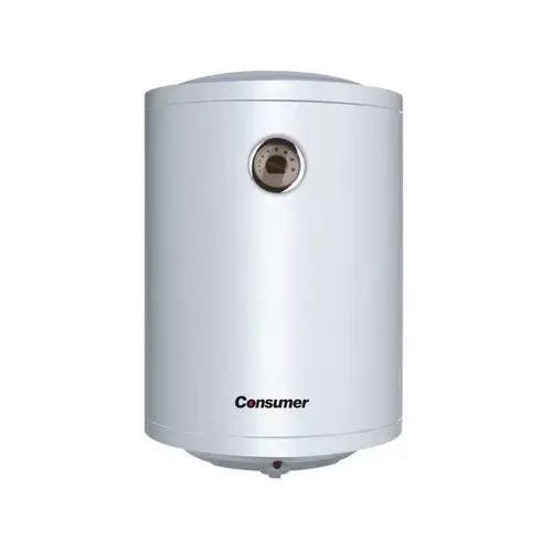 CONSUMWE RR (1) TERMOCALEFON CONSUMER 80LTS - Imagen 1