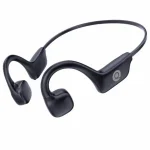 AURICULAR QUANTA QTABIG20