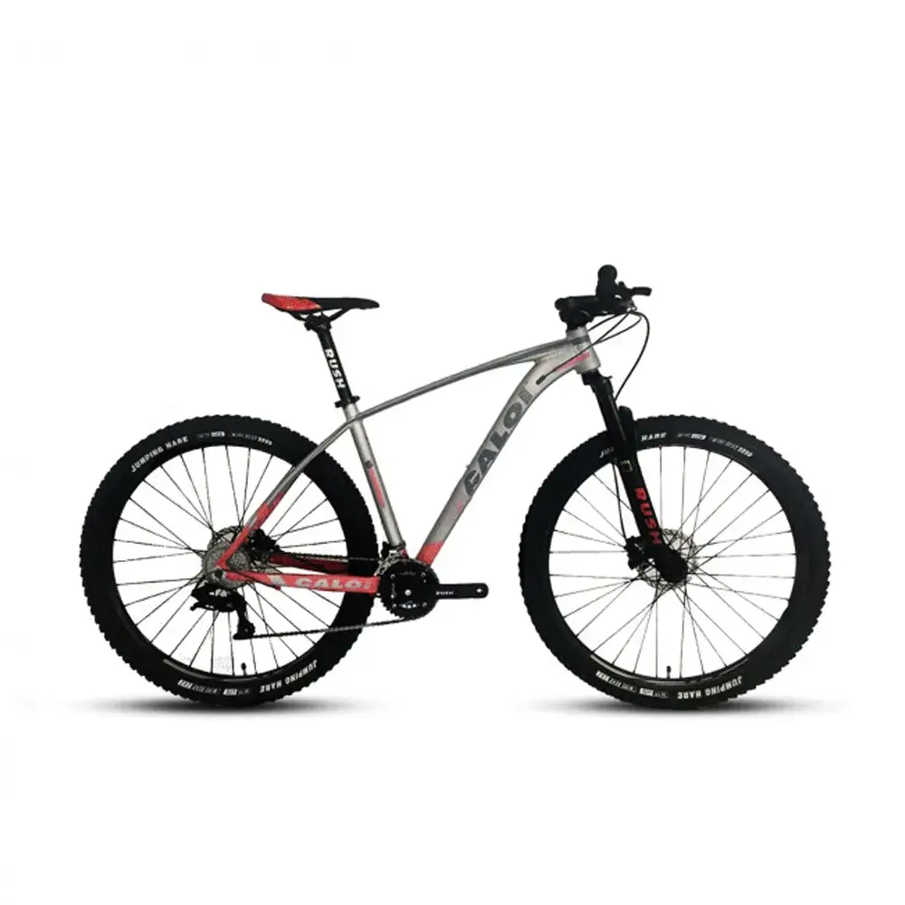 GTR LARGE CALOI GTX 29" LARGE - Imagen 1