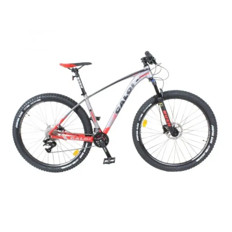 MEDIUM CALOI GTX 29" MEDIUM - Imagen 1