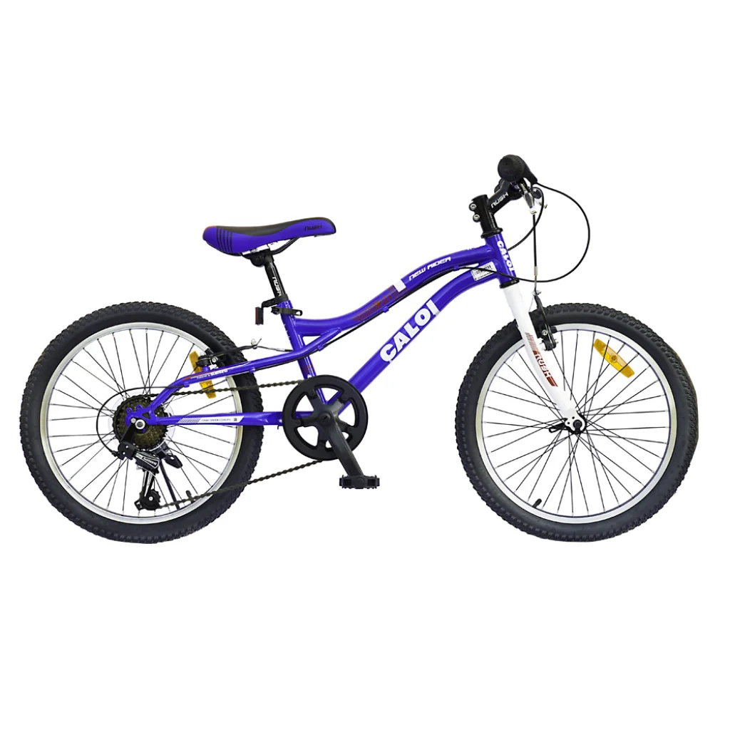 99991627492003_BIC.CAL.NEW.RID.20.A_0 BICICLETA CALOI NEW RIDER 20¨6V AZUL - Imagen 1