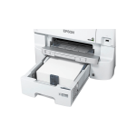 Producto 38911 - Imagen 2