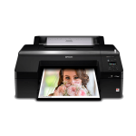 Producto 42383 - Imagen 2