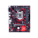 Producto 49702 - Imagen 11
