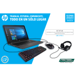 Producto 54782 - Imagen 3