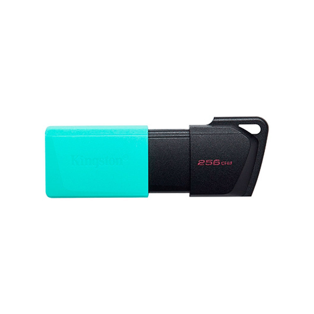 fastrax_91084_6a56547b73520.jpg PENDRIVE KINGSTON DATATRAVELER EXODIA M 256GB USB 3.2 DTXM/256GB - Imagen 1
